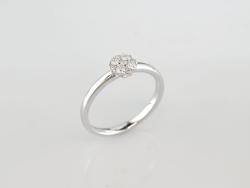 BAGUE OR GRIS 750/00 D0.17(9) G2.66 T54