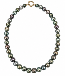 CHOKER MERS DU SUD TAHITI 10/11MM SEMI-RONDE MULTICOLORE LONGUEUR 50 CM