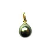PENDENTIF OR JAUNE 375/00 TAHITI 