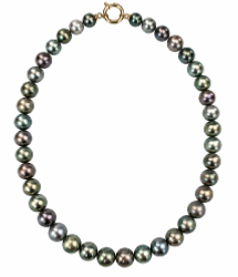 CHOKER MERS DU SUD TAHITI 10/11MM SEMI-RONDE MULTICOLORE LONGUEUR 50 CM