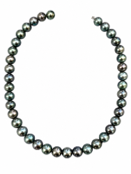 CHOKER MERS DU SUD TAHITI 10/11MM SEMI-BAROQUE LONGEUR 41 CM